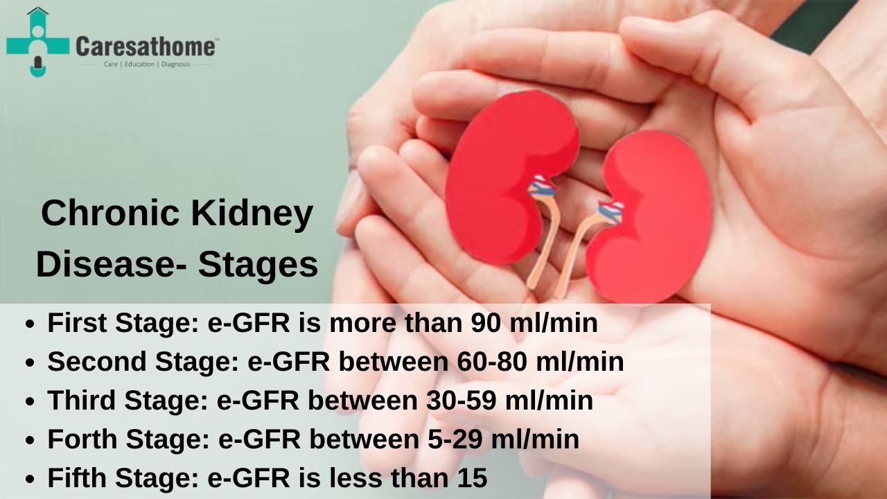 stage 1 kidney failure